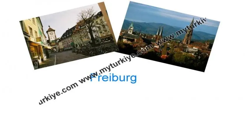 Almanya’nın Güneşli Şehri, Freiburg
