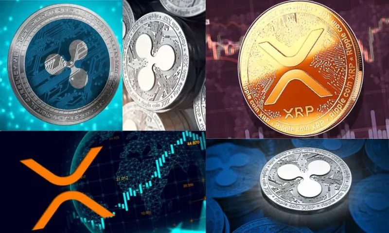 Ripple Piyasası  Hakkında