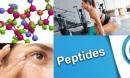 Peptides Kimler Kullanılır?