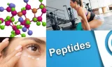Peptides Kimler Kullanılır?