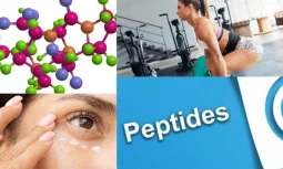 Peptides Kimler Kullanılır?