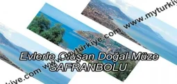 A NATURAL MUSEUM FORMED BY HOUSES: SAFRANBOLU