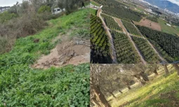 Edremit Satılık Arsa Arayışında Bölgesel Potansiyel ve Doğru Lokasyon Analizi