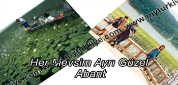 Her Mevsim Ayrı Güzel: Abant