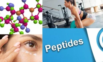 Peptides Kimler Kullanılır?