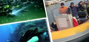 All Emotions Together with Red Sea Tours