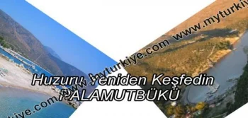 Rediscover Serenity: Palamutbükü