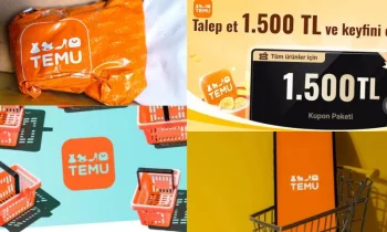 Temu İndirim Kodunu Kullanırken Nelere Dikkat Edilmeli?