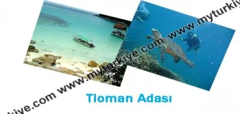 Tioman Adası Tatili 