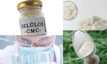 Toz Selüloz Seçerken Dikkat Edilmesi Gerekenler