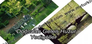Serenity from Nature: Yedigöller