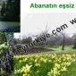 Her Mevsim Ayrı Güzel Abant