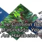 Kilise ve Caminin Beraber Bulunduğu Yer: ANİ HARABELERİ