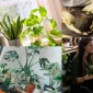 The Importance and Basic Principles of Plant Care