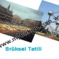 Brussels Holiday Guide