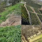 Edremit Satılık Arsa Arayışında Bölgesel Potansiyel ve Doğru Lokasyon Analizi