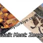 MOZAİK KENT: ZEUGMA
